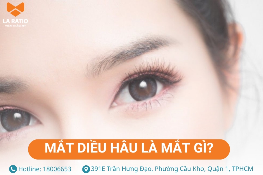 Mắt diều hâu là gì? Đây là dáng mắt có đuôi xếch lên cao và góc mắt hẹp