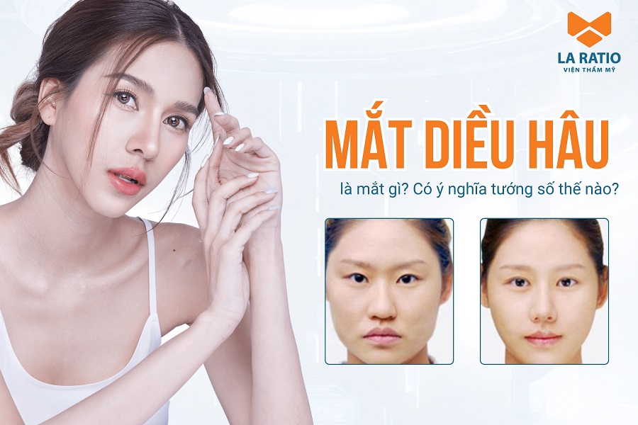 Mắt diều hâu là mắt gì? Xem tướng mắt diều hâu nam nữ tốt hay xấu?