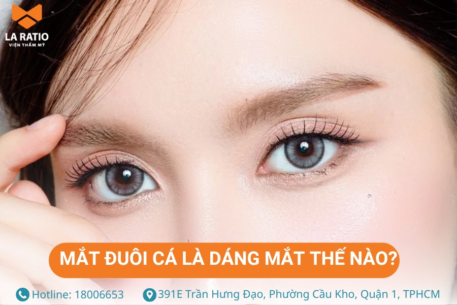 Mắt đuôi cá có phần đuôi kéo dài, hơi xếch lên phía trên