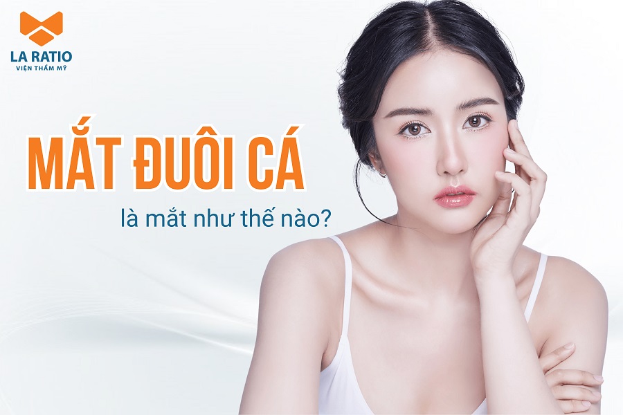 Mắt đuôi cá là gì? Cách nhận biết và ý nghĩa nhân tướng học
