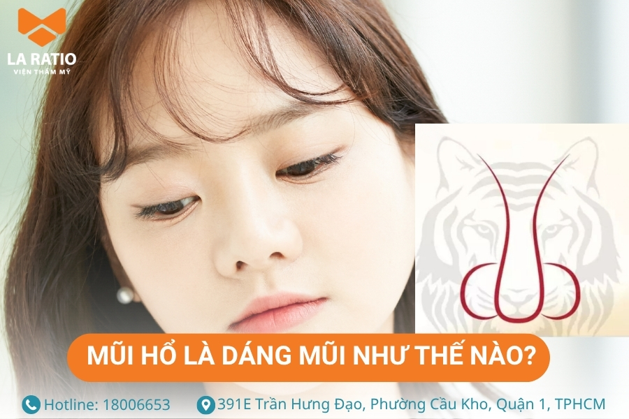 Mũi hổ có phần sống mũi ngắn nhưng cao và thẳng, nhìn tựa như chiếc mũi của con hổ Mũi hổ có phần sống mũi ngắn nhưng cao và thẳng, nhìn tựa như chiếc mũi của con hổ