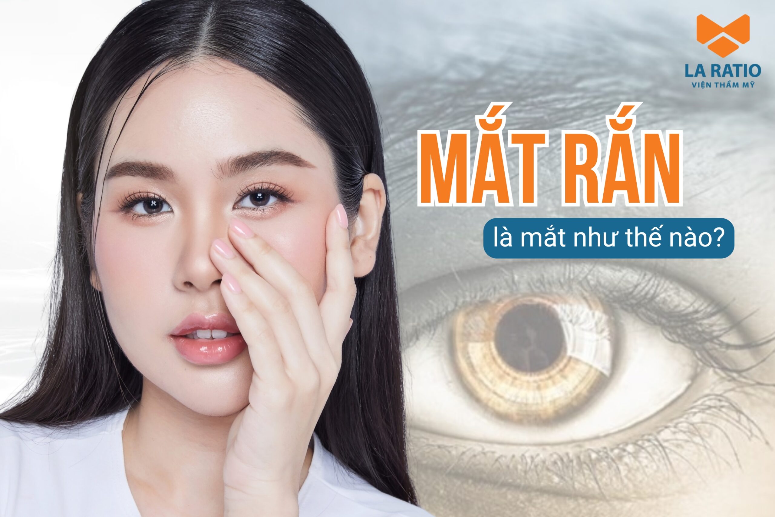 Mắt rắn là mắt như thế nào? Xem tướng người mắt rắn tốt hay xấu?