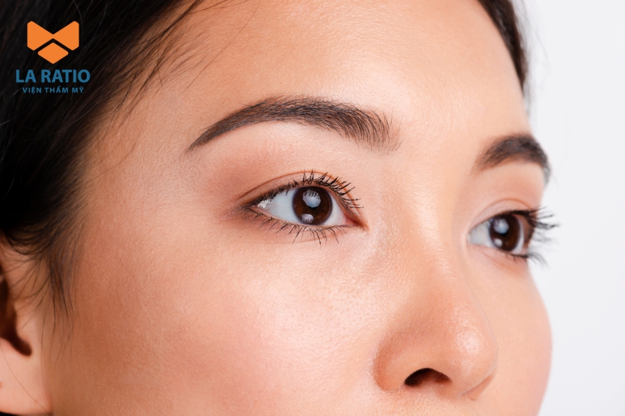 Mắt voi có hình dáng nhỏ nhắn, cong như hình cánh cung