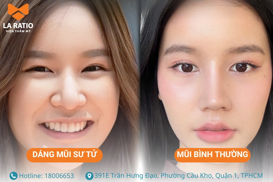 Mũi sư tử là dáng mũi thể hiện được tính quyền uy của người sở hữu