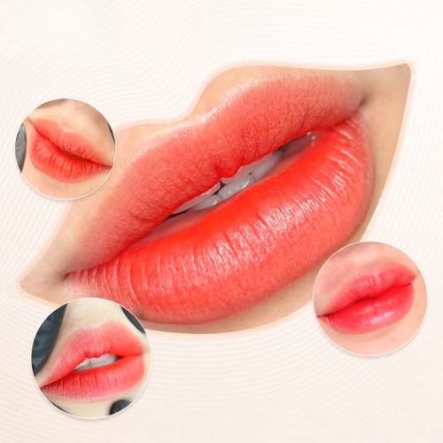 form đăng ký phun môi