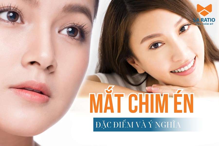 Mắt chim én là gì? Đặc điểm và ý nghĩa nhân tướng học